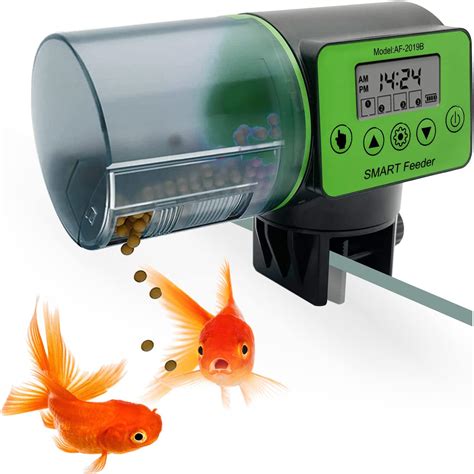 fish feeder